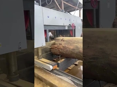 Máy cưa điện hạng nặng