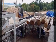 Gỗ tròn Cưa xẻ gỗ Biến tần tự động Chế biến gỗ Máy cưa xẻ