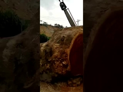 máy cắt ngang gỗ lớn slasher cưa dây chuyền