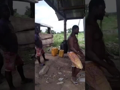 Máy cưa cưa gỗ Máy cắt gỗ theo chiều ngang Máy cưa cưa di động