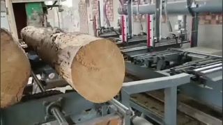 Máy cưa băng đứng có gỗ thủy lực Carraige - nắm gỗ bằng khí nén