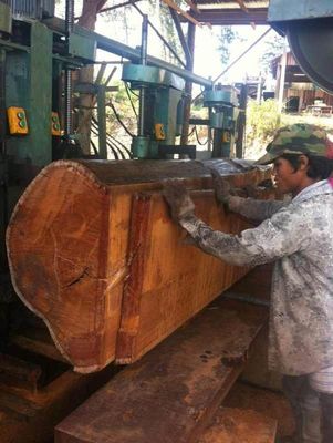 Saw wheel diameter 1250mm Wood Cutting Band Sawmill Bandsaw Wheels Sawmill Vertical Saw Wood Bandsaw