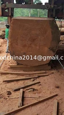 Giá rẻ bán nhà máy Máy cưa dây chuyền tự động Máy cưa dây chuyền ngang cho gỗ có đường kính lớn