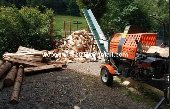 Dầu xăng động cơ xăng Log Splitter Dầu xăng bộ xử lý gỗ được phê duyệt sử dụng trên đường bộ