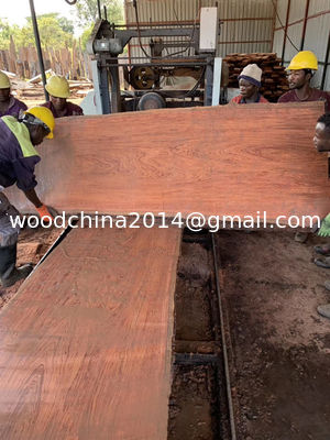 Máy cưa vòng cầm tay CNC để cắt gỗ, cưa gỗ tự động
